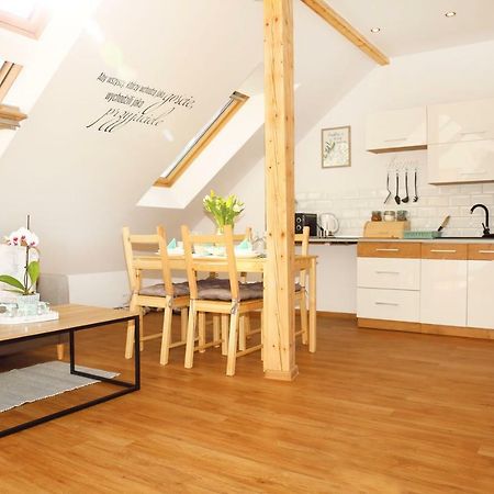 Apartament W Rynku Ustrzyki Dolne Buitenkant foto