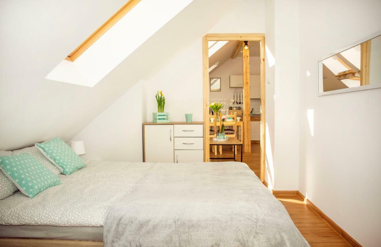 Apartament W Rynku Ustrzyki Dolne Buitenkant foto